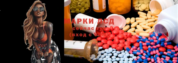 PSILOCYBIN Абдулино