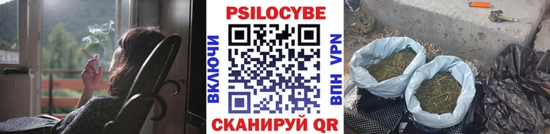 blacksprut tor  Верхоянск  Псилоцибиновые грибы GOLDEN TEACHER 